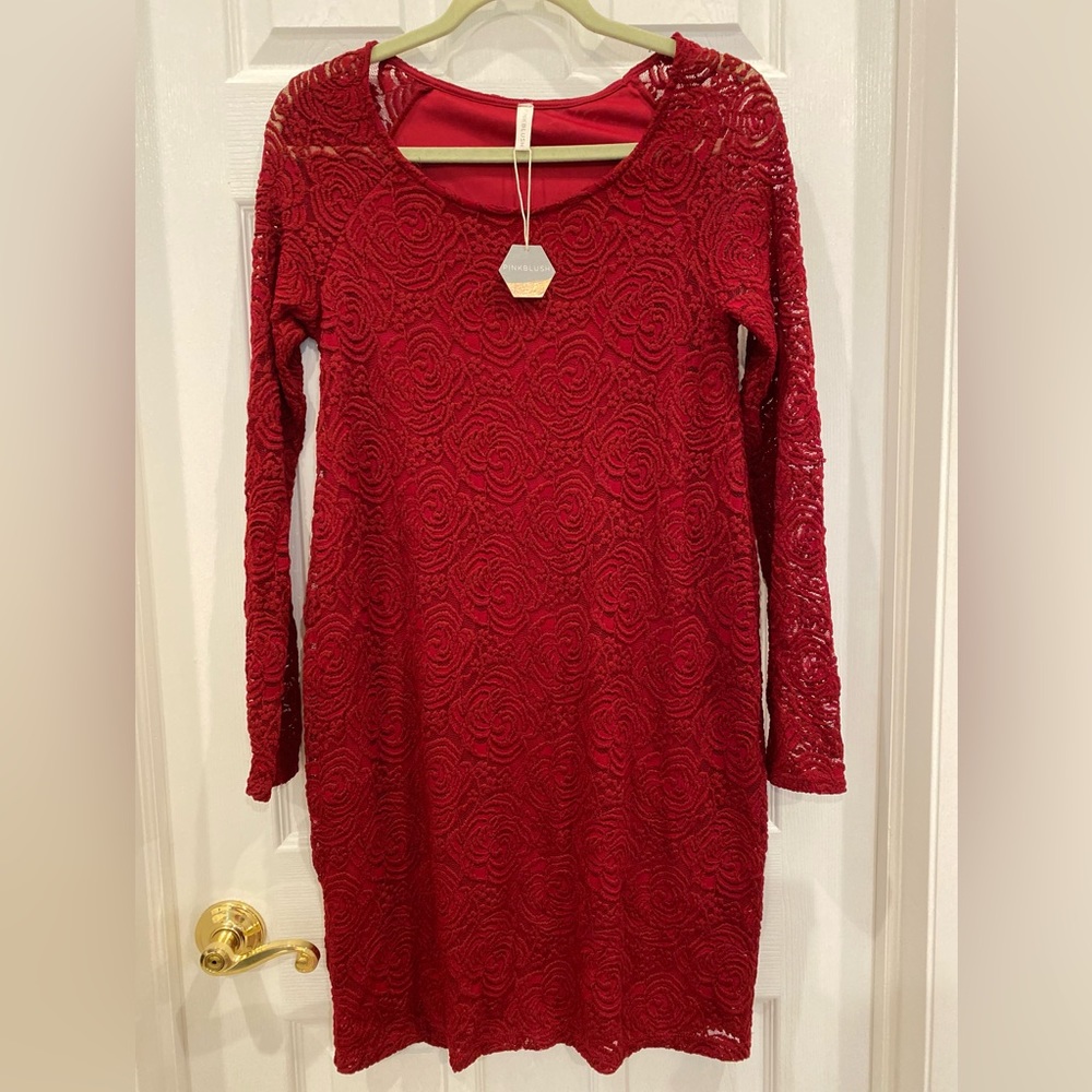 NWT Pinkblush maternity size small lace shift dress long sleeve